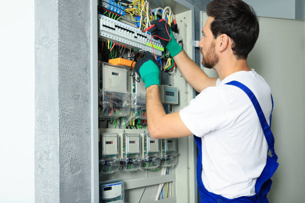 Best Electrical System Inspection  in Murphy, MO